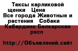 Таксы карликовой щенки › Цена ­ 20 000 - Все города Животные и растения » Собаки   . Кабардино-Балкарская респ.